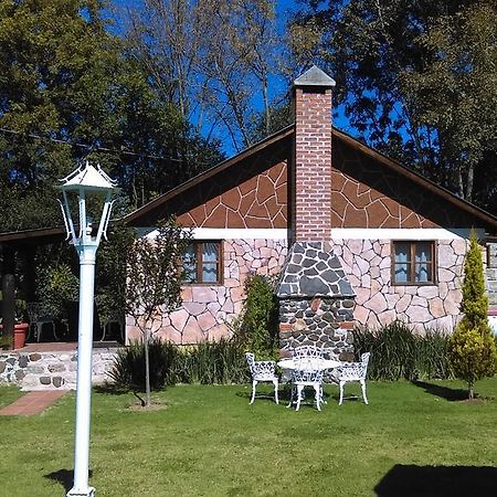 Cabanas Cumbres De Aguacatitla Huasca de Ocampo Luaran gambar
