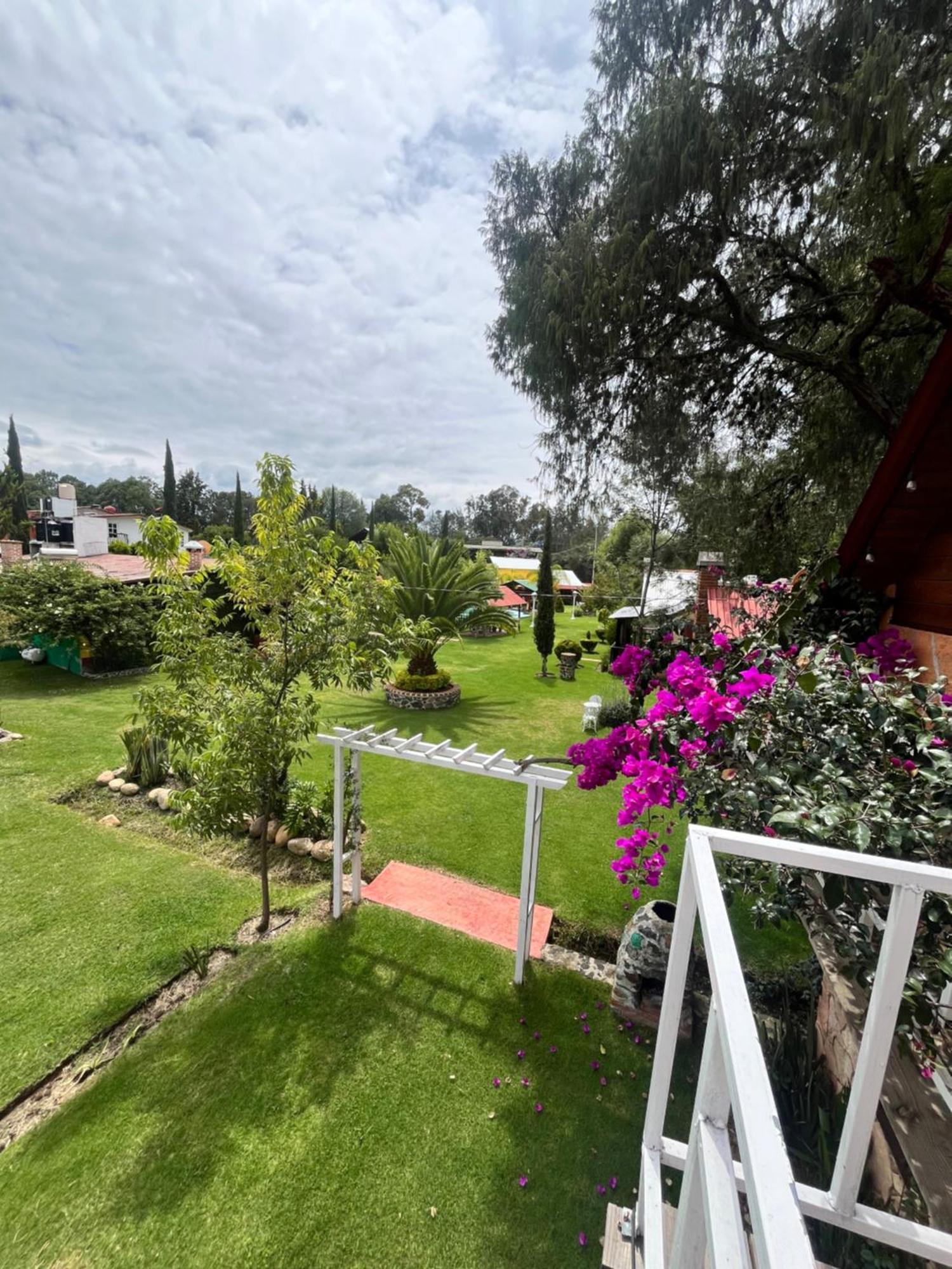 Cabanas Cumbres De Aguacatitla Huasca de Ocampo Luaran gambar