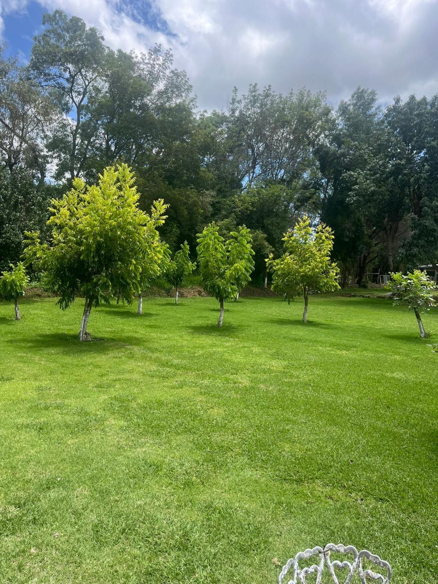 Cabanas Cumbres De Aguacatitla Huasca de Ocampo Luaran gambar