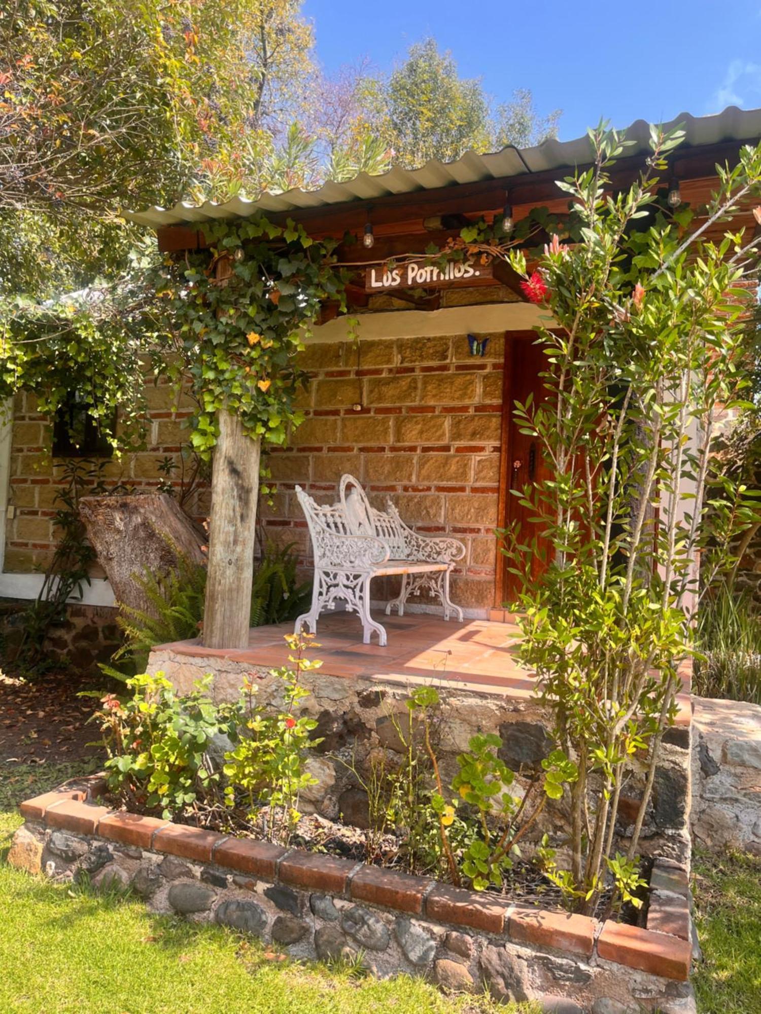 Cabanas Cumbres De Aguacatitla Huasca de Ocampo Luaran gambar
