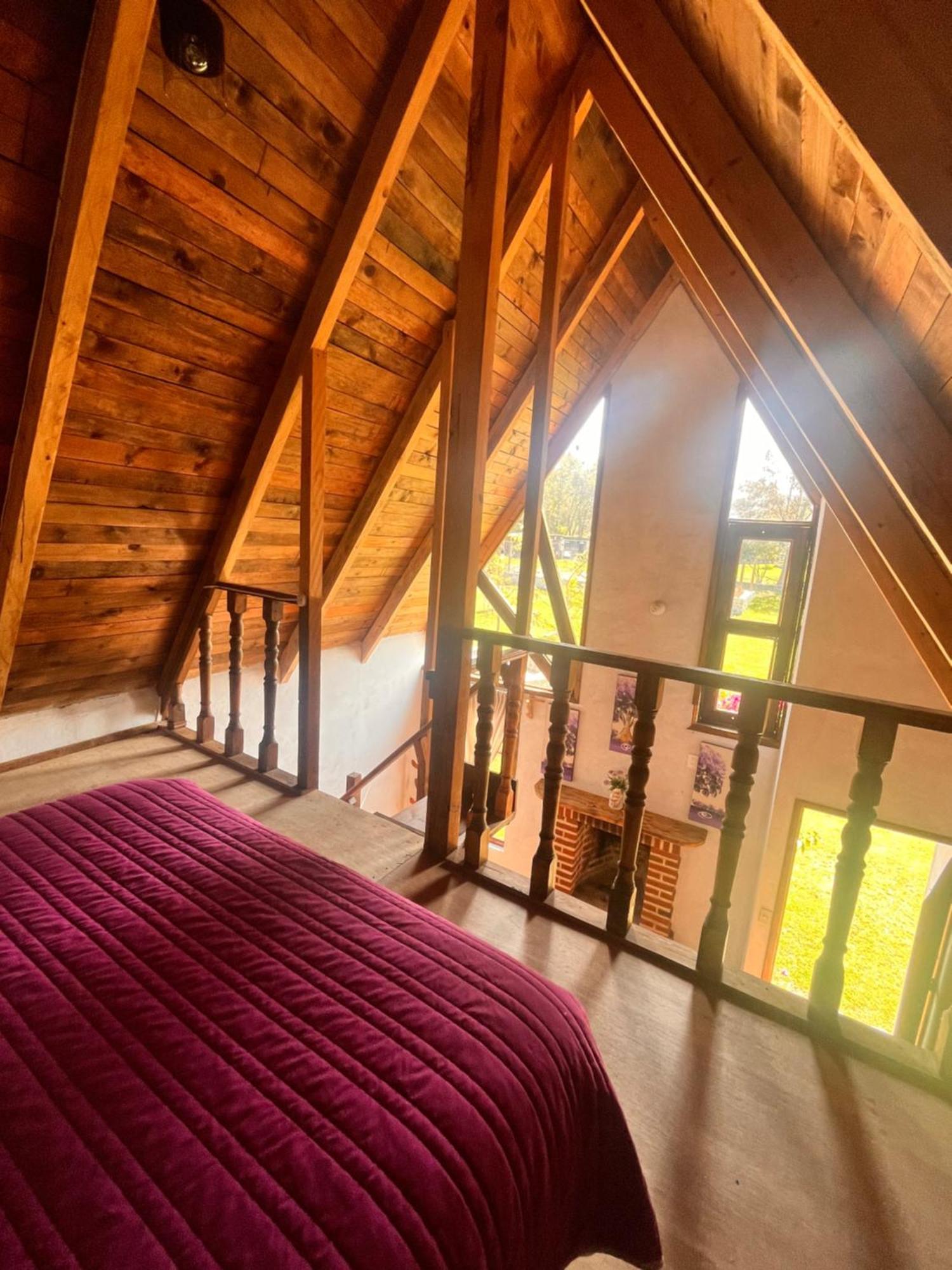 Cabanas Cumbres De Aguacatitla Huasca de Ocampo Luaran gambar