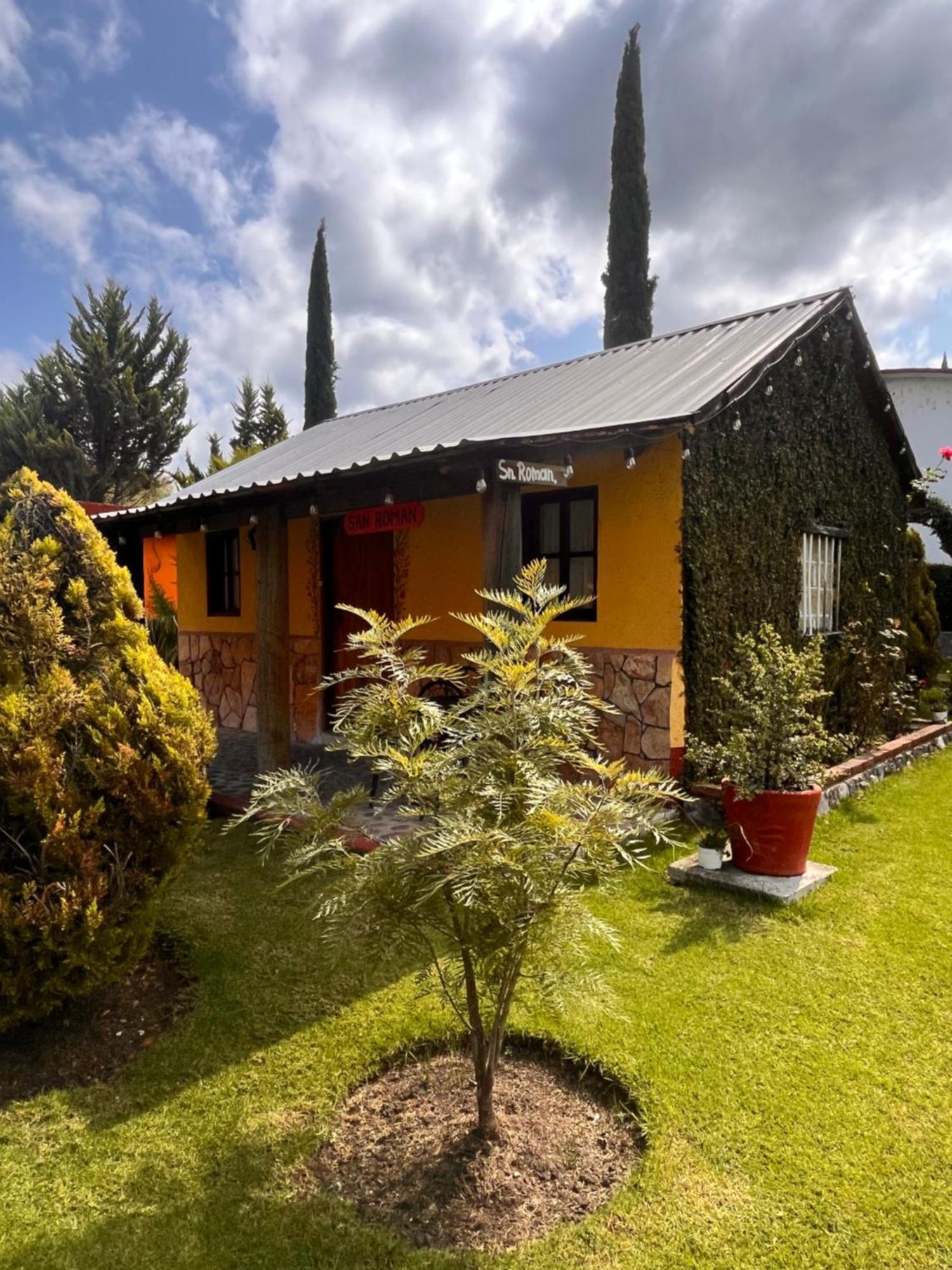 Cabanas Cumbres De Aguacatitla Huasca de Ocampo Luaran gambar