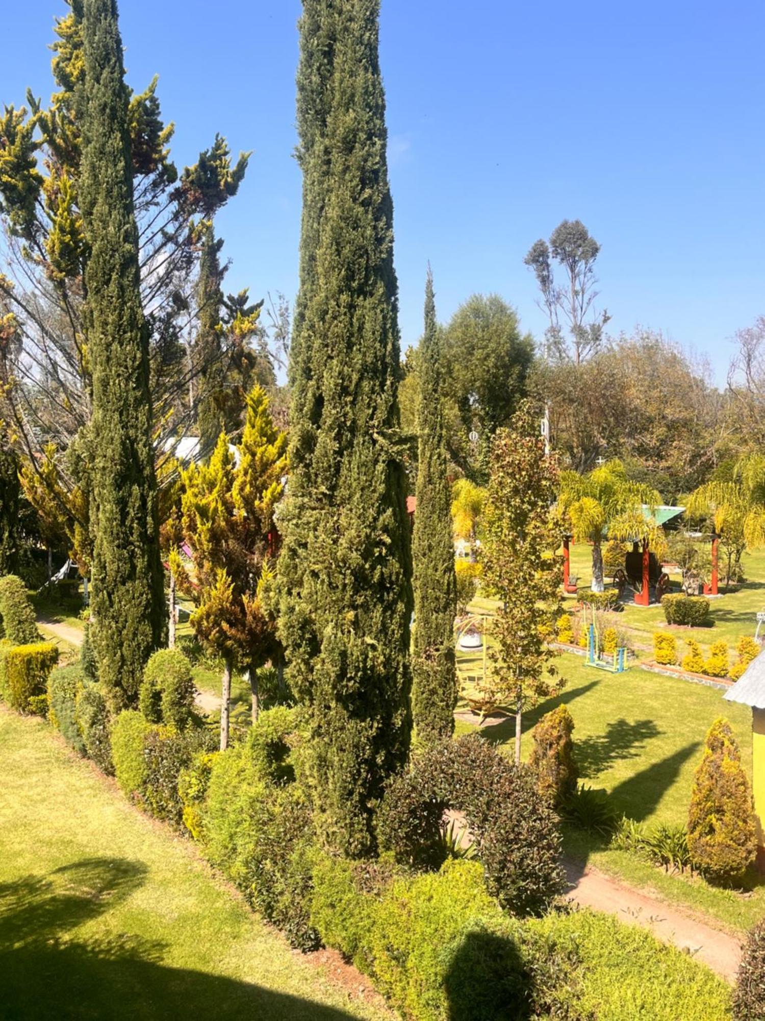 Cabanas Cumbres De Aguacatitla Huasca de Ocampo Luaran gambar