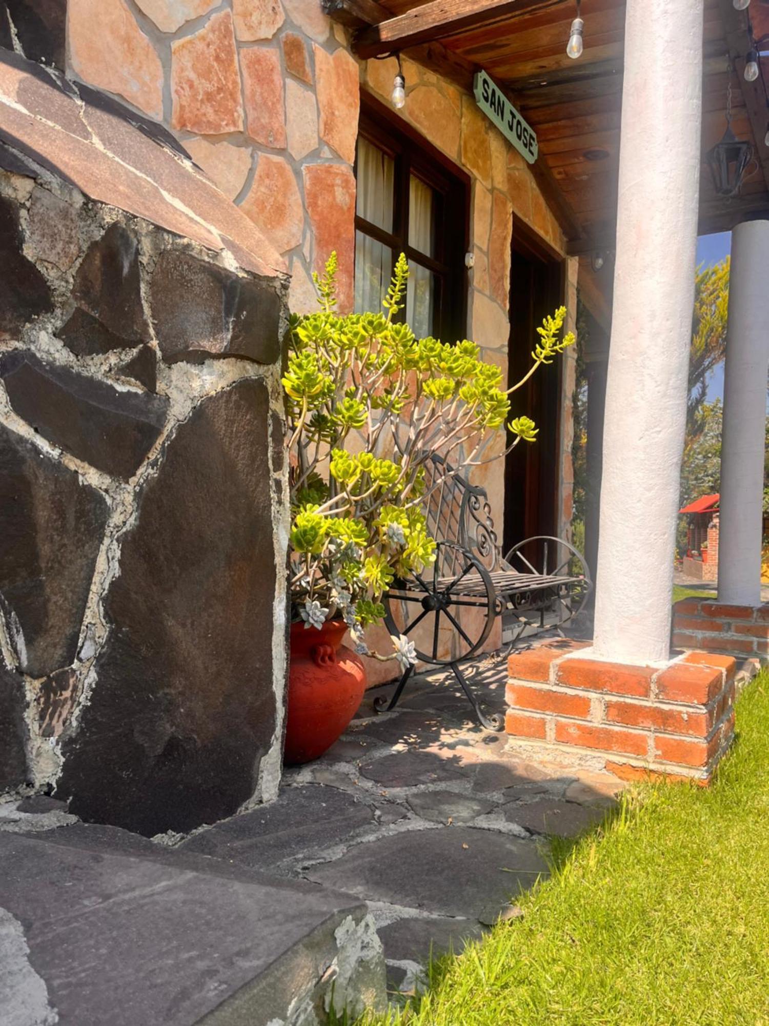 Cabanas Cumbres De Aguacatitla Huasca de Ocampo Luaran gambar