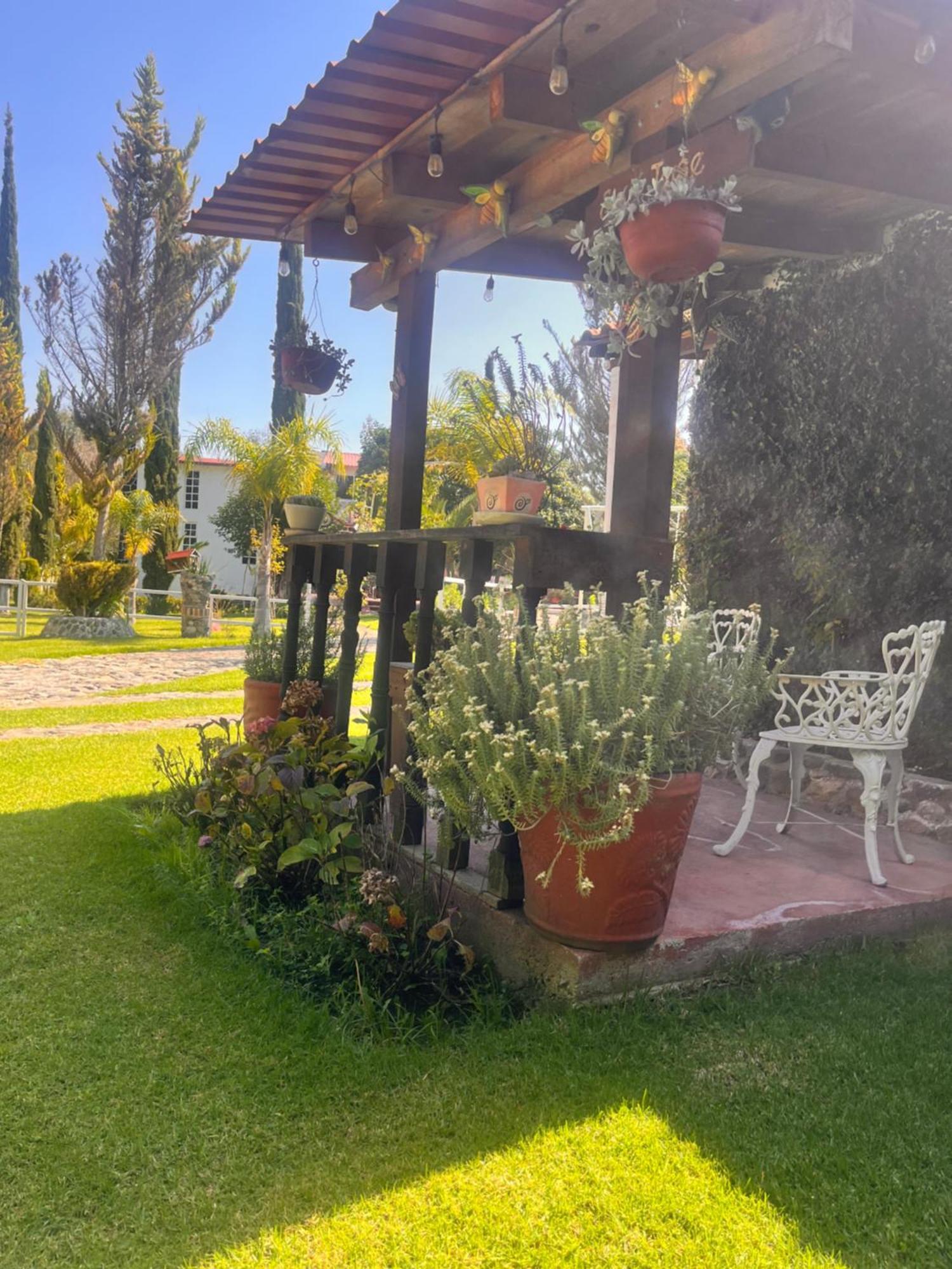 Cabanas Cumbres De Aguacatitla Huasca de Ocampo Luaran gambar
