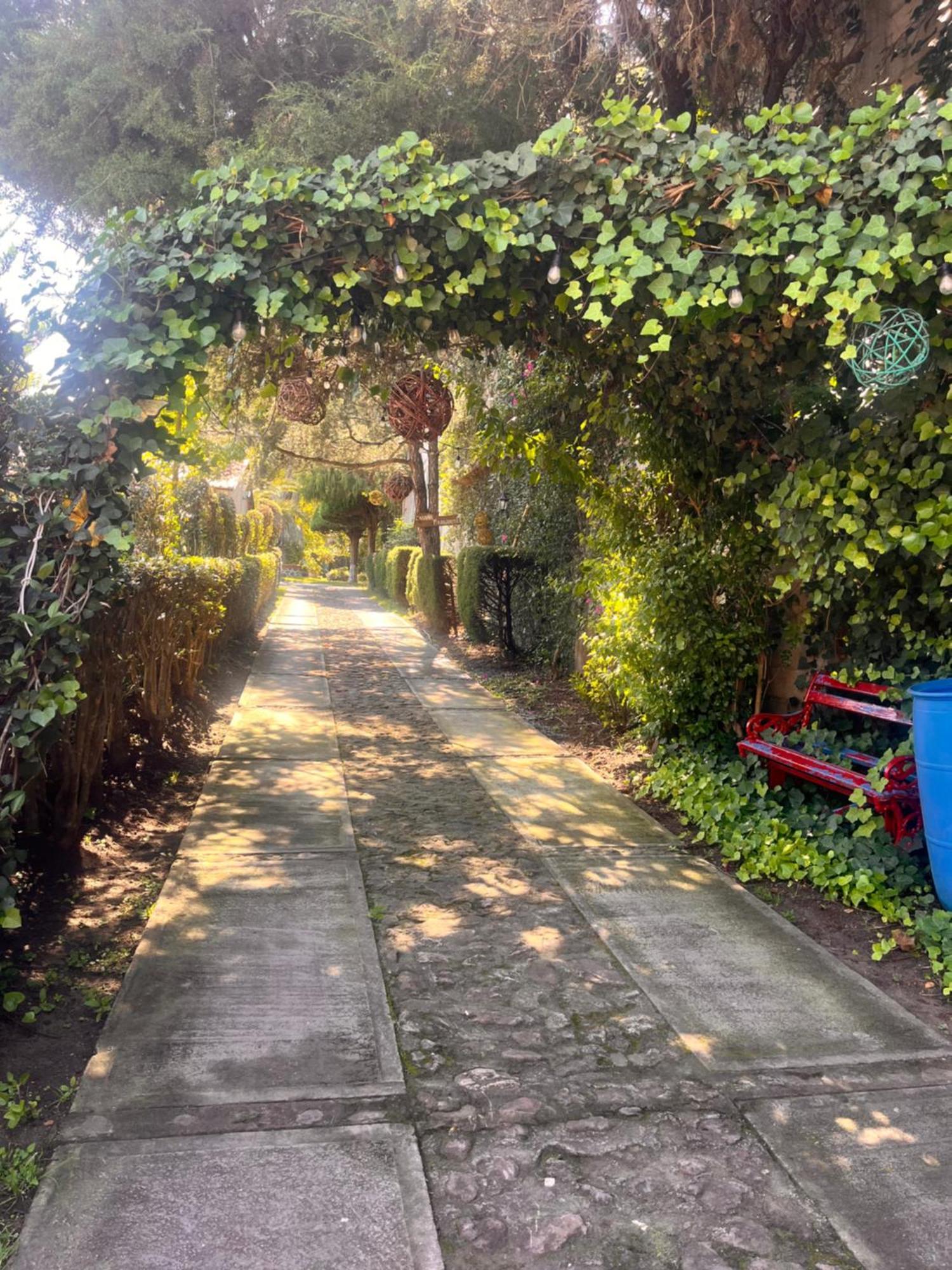 Cabanas Cumbres De Aguacatitla Huasca de Ocampo Luaran gambar
