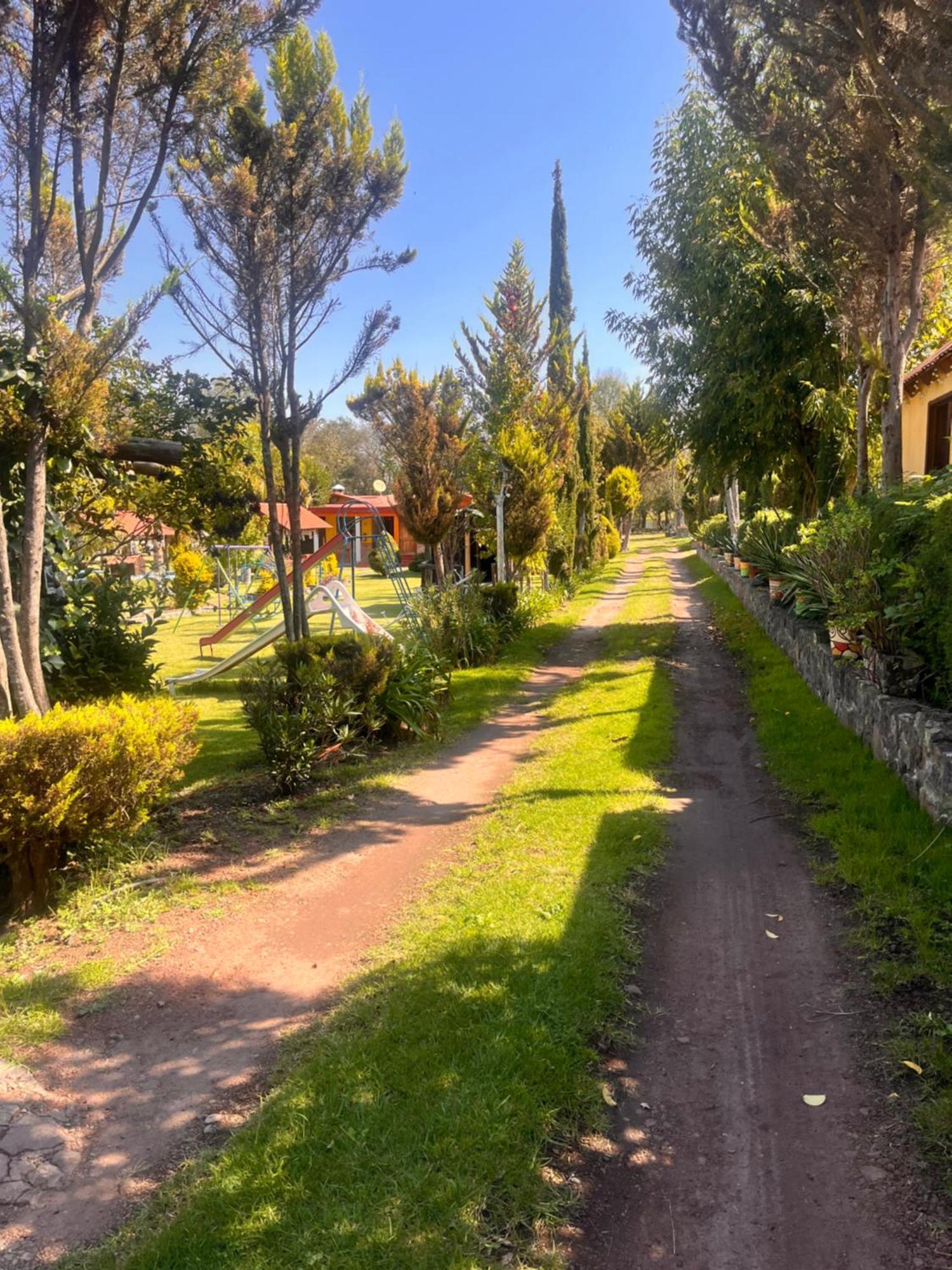 Cabanas Cumbres De Aguacatitla Huasca de Ocampo Luaran gambar