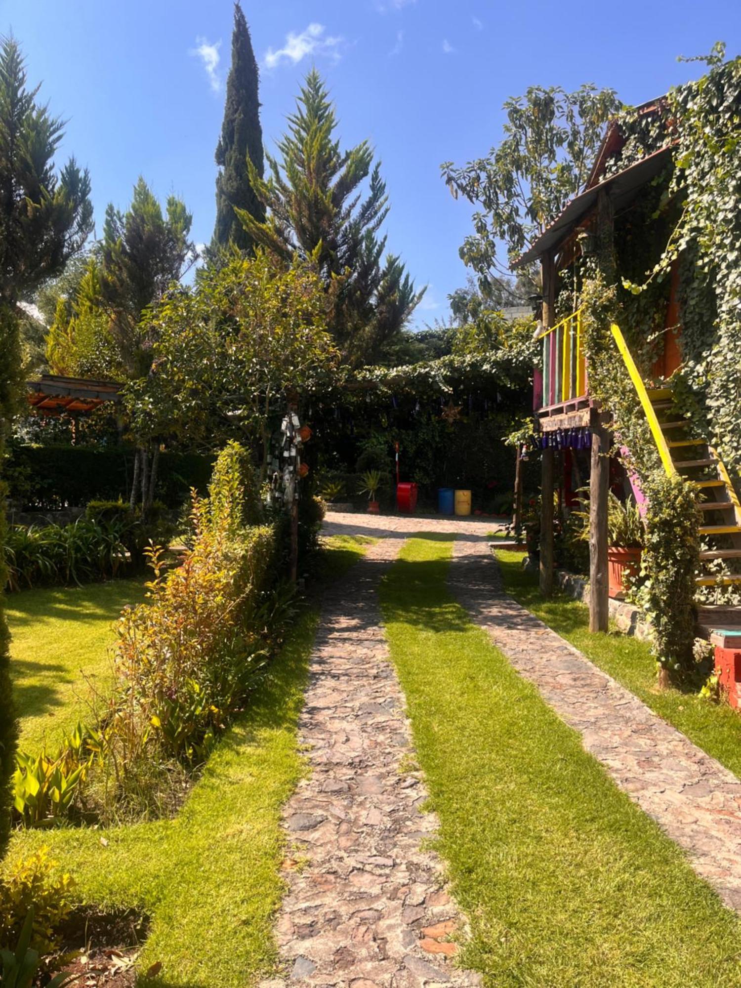 Cabanas Cumbres De Aguacatitla Huasca de Ocampo Luaran gambar
