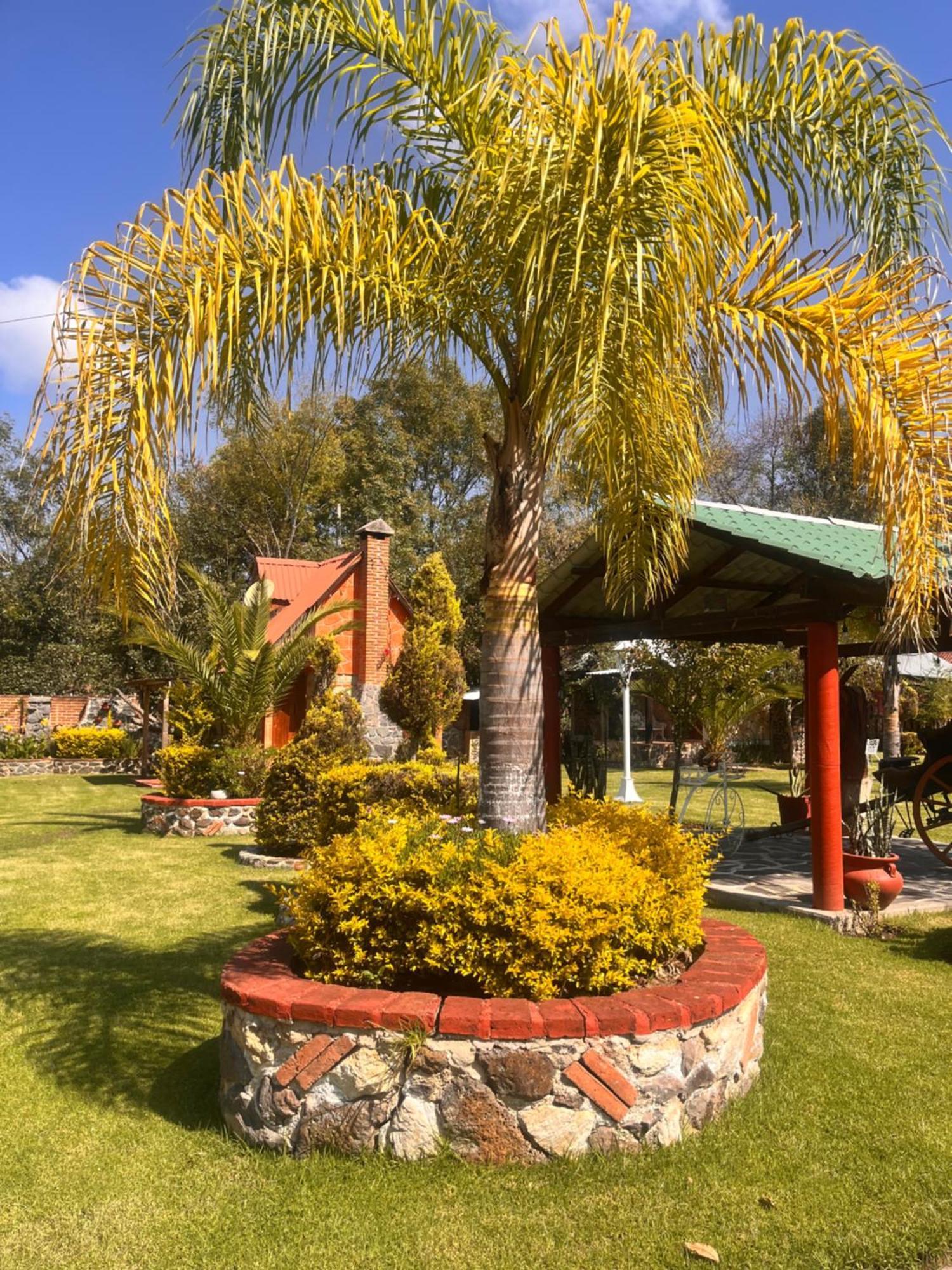 Cabanas Cumbres De Aguacatitla Huasca de Ocampo Luaran gambar