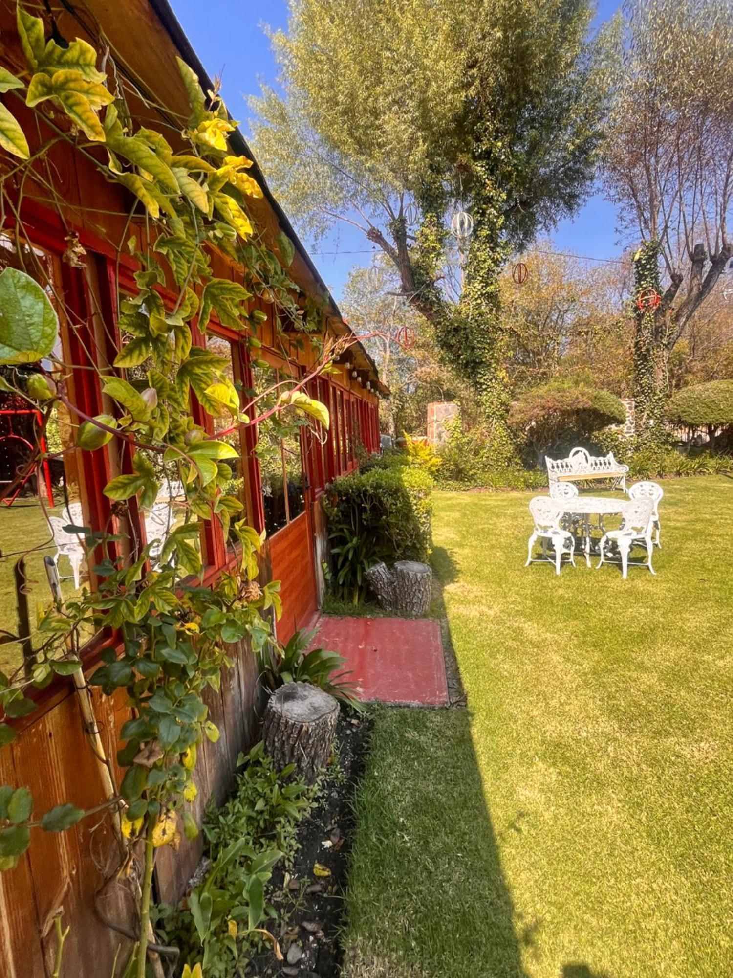 Cabanas Cumbres De Aguacatitla Huasca de Ocampo Luaran gambar