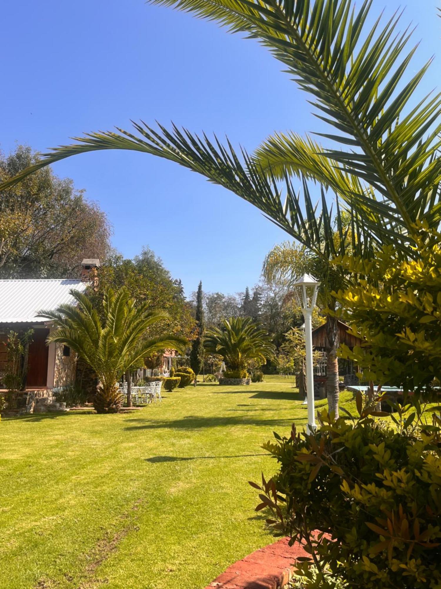 Cabanas Cumbres De Aguacatitla Huasca de Ocampo Luaran gambar