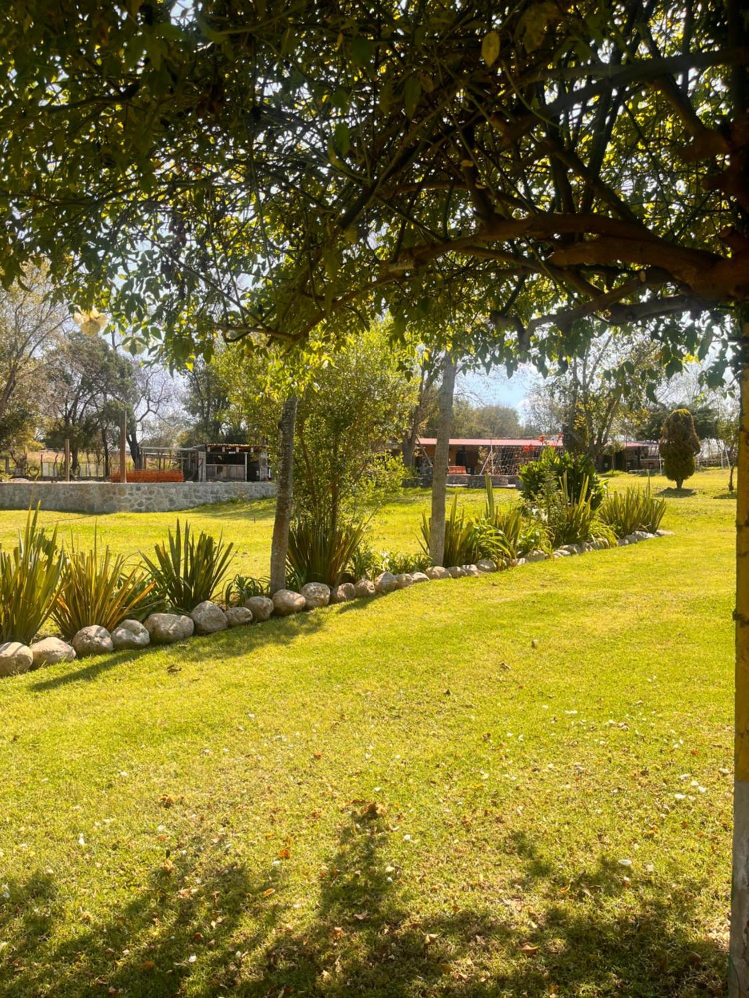 Cabanas Cumbres De Aguacatitla Huasca de Ocampo Luaran gambar
