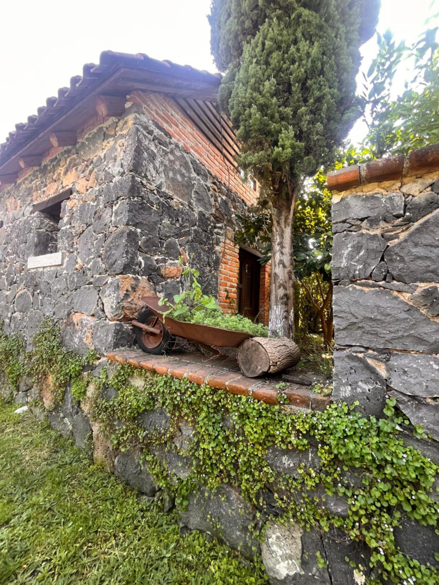 Cabanas Cumbres De Aguacatitla Huasca de Ocampo Luaran gambar